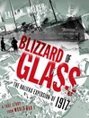 Cover image for Blizzard of Glass